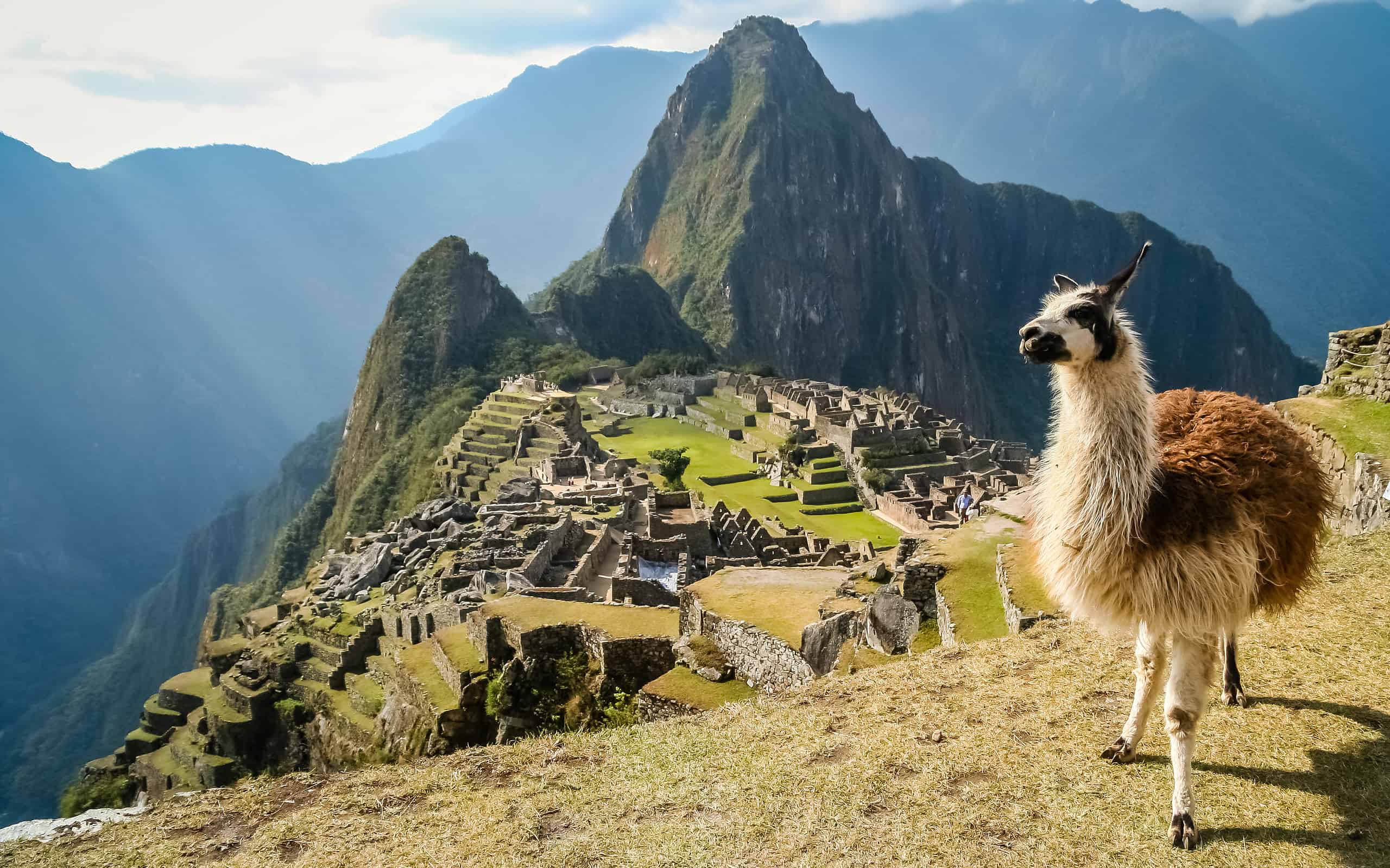 <p>15th-century <a href="https://a-z-animals.com/blog/discover-how-and-when-machu-picchu-was-built/?utm_campaign=msn&utm_source=msn_slideshow&utm_content=1325965&utm_medium=in_content">Machu Picchu</a> sits between the <a href="https://a-z-animals.com/blog/all-about-the-amazon/?utm_campaign=msn&utm_source=msn_slideshow&utm_content=1325965&utm_medium=in_content">Amazon Basin</a> and the <a href="https://a-z-animals.com/blog/discover-how-and-when-the-andes-mountains-was-formed/?utm_campaign=msn&utm_source=msn_slideshow&utm_content=1325965&utm_medium=in_content">Peruvian Andes</a>. It's a ruined five-mile city divided into residential and farming areas. Around 200 structures still stand on the steep 7,970-foot mountainside ridge, and more than 3,000 steps connect the sections. One of Machu Picchu's most wondrous aspects is its water collection system that ensured this epic hillside spot flourished. These incredible ruins are called "The Lost City of the Incas", because the city was abandoned 100 years after its construction when <a href="https://a-z-animals.com/animals/location/europe/spain/?utm_campaign=msn&utm_source=msn_slideshow&utm_content=1325965&utm_medium=in_content">Spanish</a> conquistadors arrived. Machu Picchu is one of the most popular <a href="https://a-z-animals.com/animals/location/south-america/?utm_campaign=msn&utm_source=msn_slideshow&utm_content=1325965&utm_medium=in_content">South American</a> UNESCO sites in the world. Over a million tourists visit every year.</p><p>Sharks, lions, alligators, and more! Don’t miss today’s latest and most exciting animal news. <strong><a href="https://www.msn.com/en-us/channel/source/AZ%20Animals%20US/sr-vid-7etr9q8xun6k6508c3nufaum0de3dqktiq6h27ddeagnfug30wka">Click here to access the A-Z Animals profile page</a> and be sure to hit the <em>Follow</em> button here or at the top of this article!</strong></p> <p>Have feedback? Add a comment below!</p>
