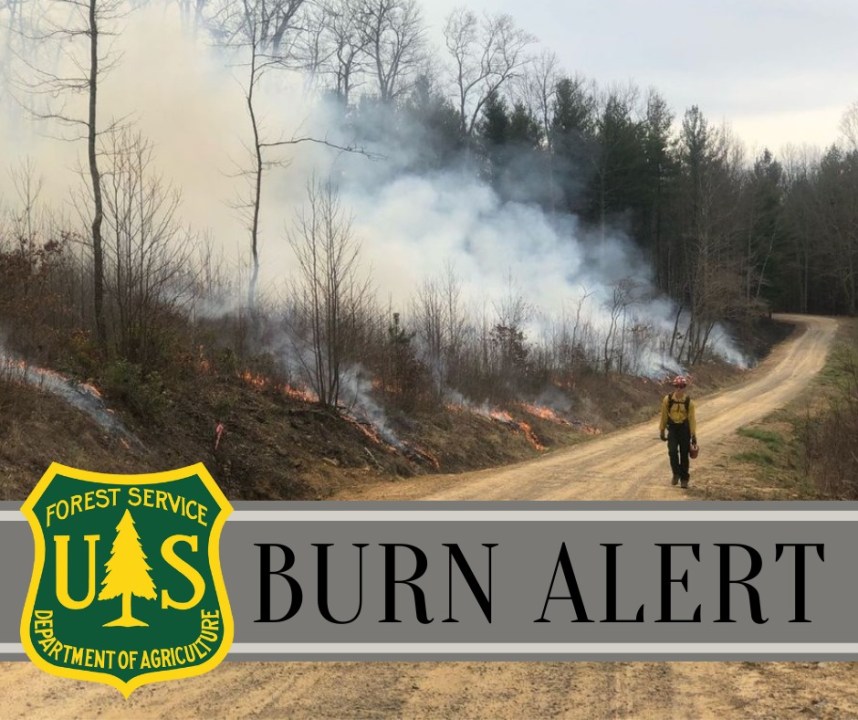 Forest Service Conducts 737-acre Prescribed Burn In Craig And ...