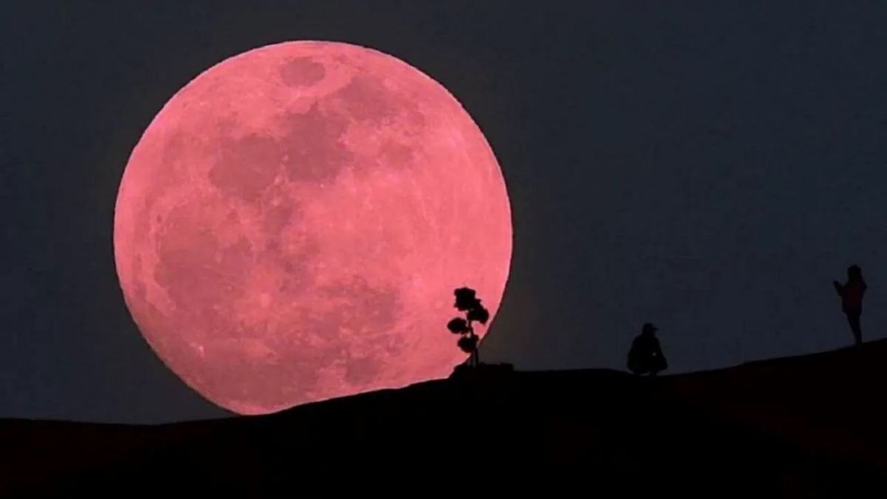 luna rosa de abril 2024: cómo verla y a qué hora desde argentina