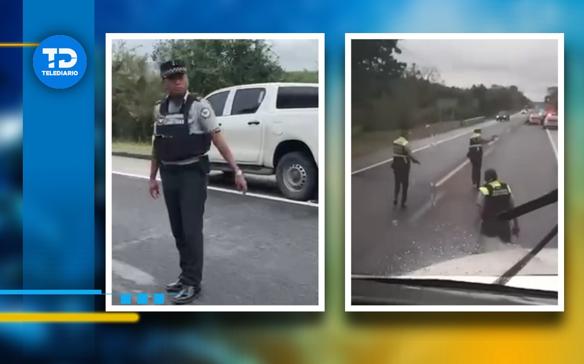 guardia nacional y presuntos delincuentes se enfrentan en la autopista méxico-tuxpan