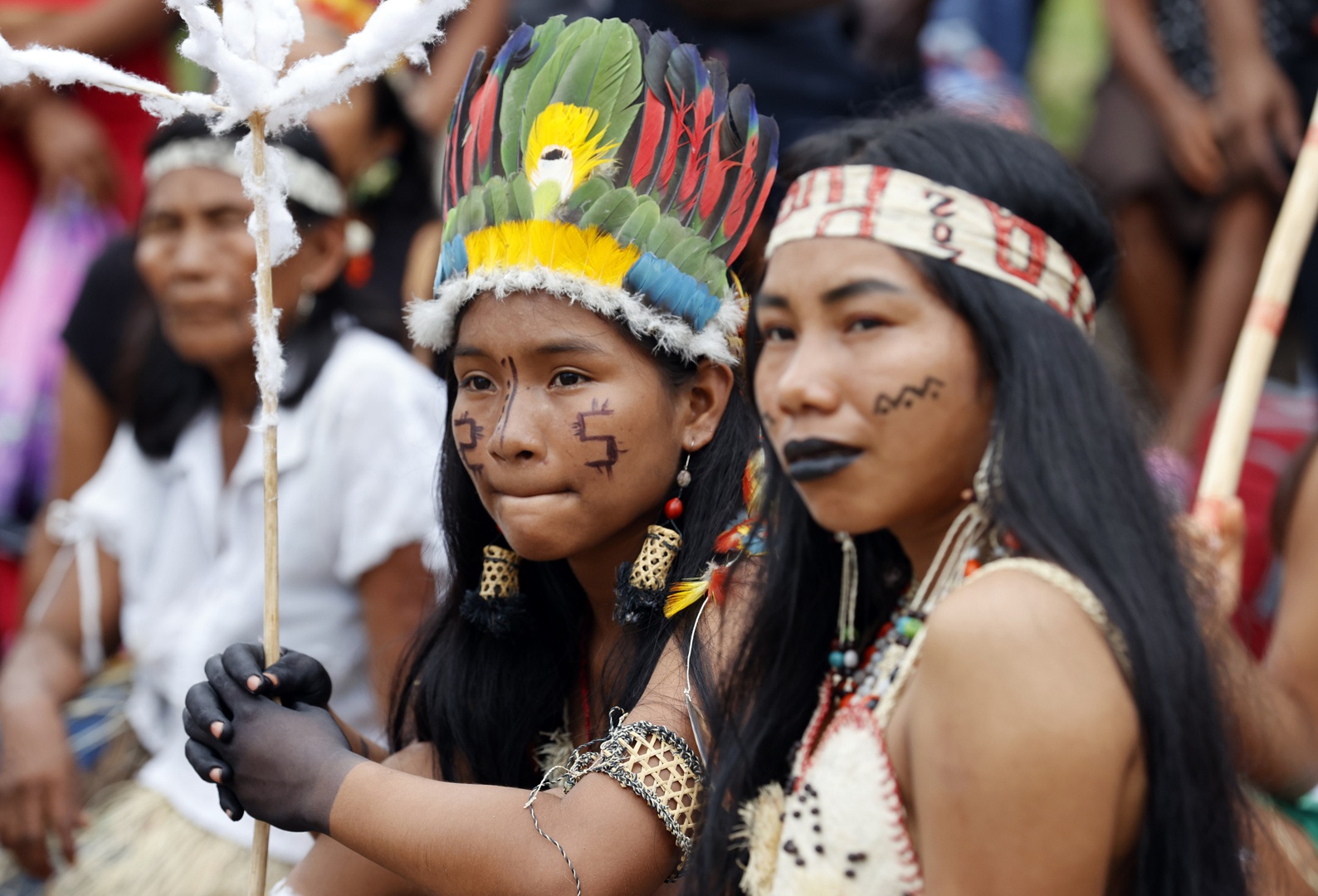 amazon, el gobierno colombiano hace justicia a las comunidades indígenas de la amazonía