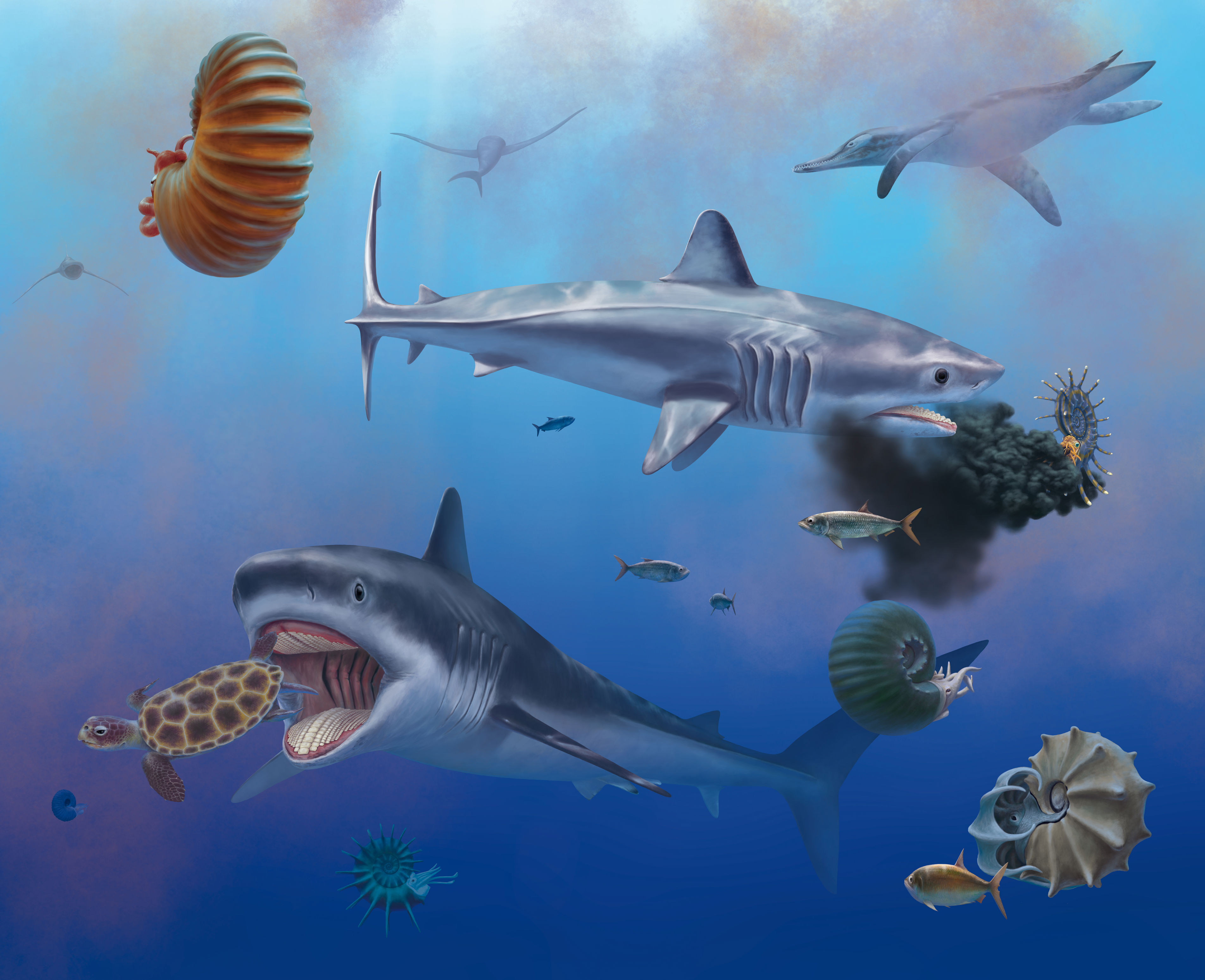 ancient, 30-foot ancestor of great white shark unearthed in mexico quarry