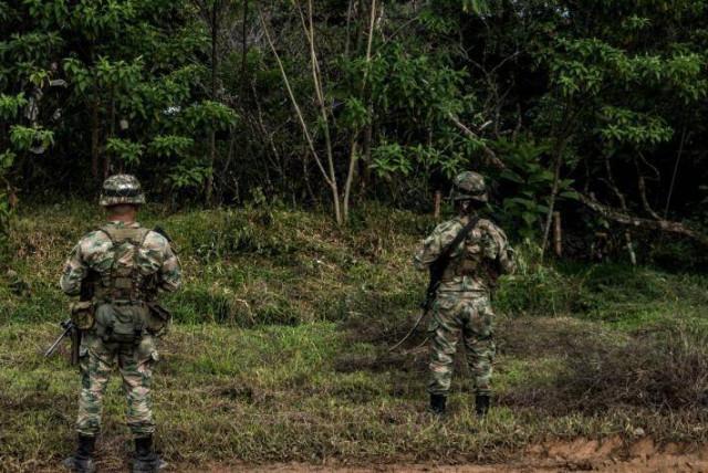 al menos 15 integrantes de las disidencias muertos deja combates con ejército en cauca