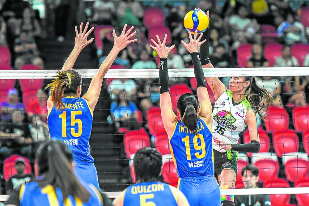 already out of it all, nxled continues pvl fight with passion