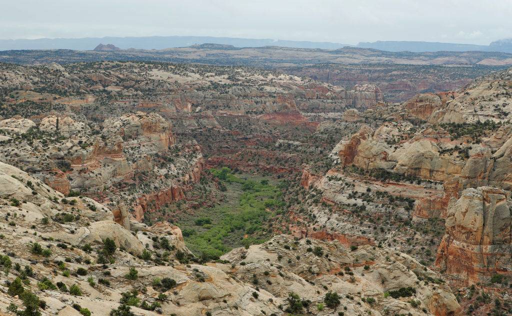 <p>Grant still had doubts about his house that he would be built solely out of rock but was able to figure out how to reach his goal.</p> <p>"My original plan was to find a place in the wilderness and the canyons and irrigate, y'know? And grow my food, out in the wilderness," said Grant.</p>