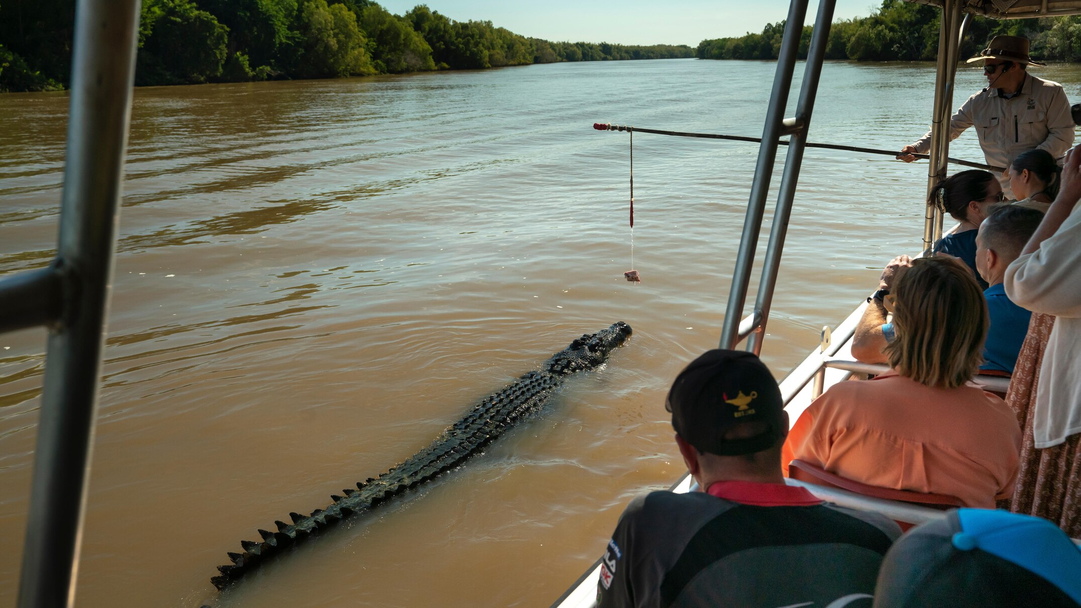 nt government unveils new saltwater crocodile management plan, stops short of mass culls