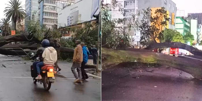 Heavy Traffic as Trees Fall in Nairobi CBD, Floods Deaths Shoot to 38