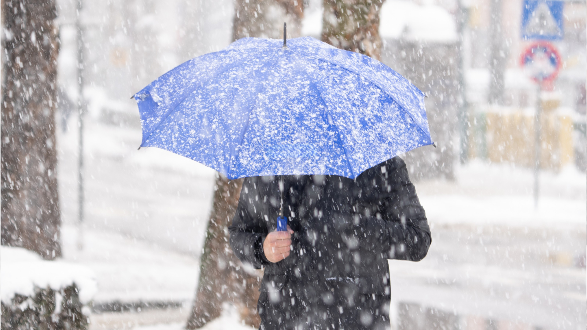 Schnee Teilweise Bis Ins Flachland