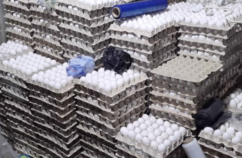 inspectores del ministerio de agricultura descubren 90,000 huevos de contrabando en cisjordania