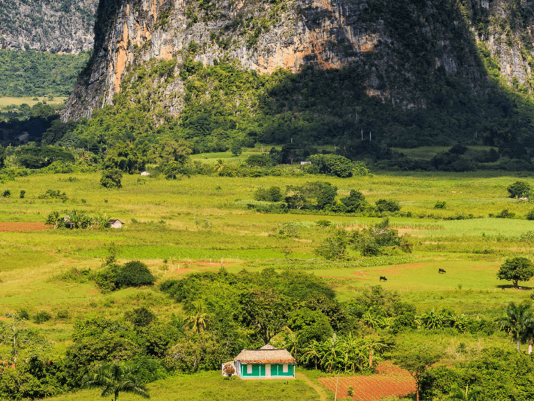 Viñales, Cuba: A Local's Guide for Travelers [2024]