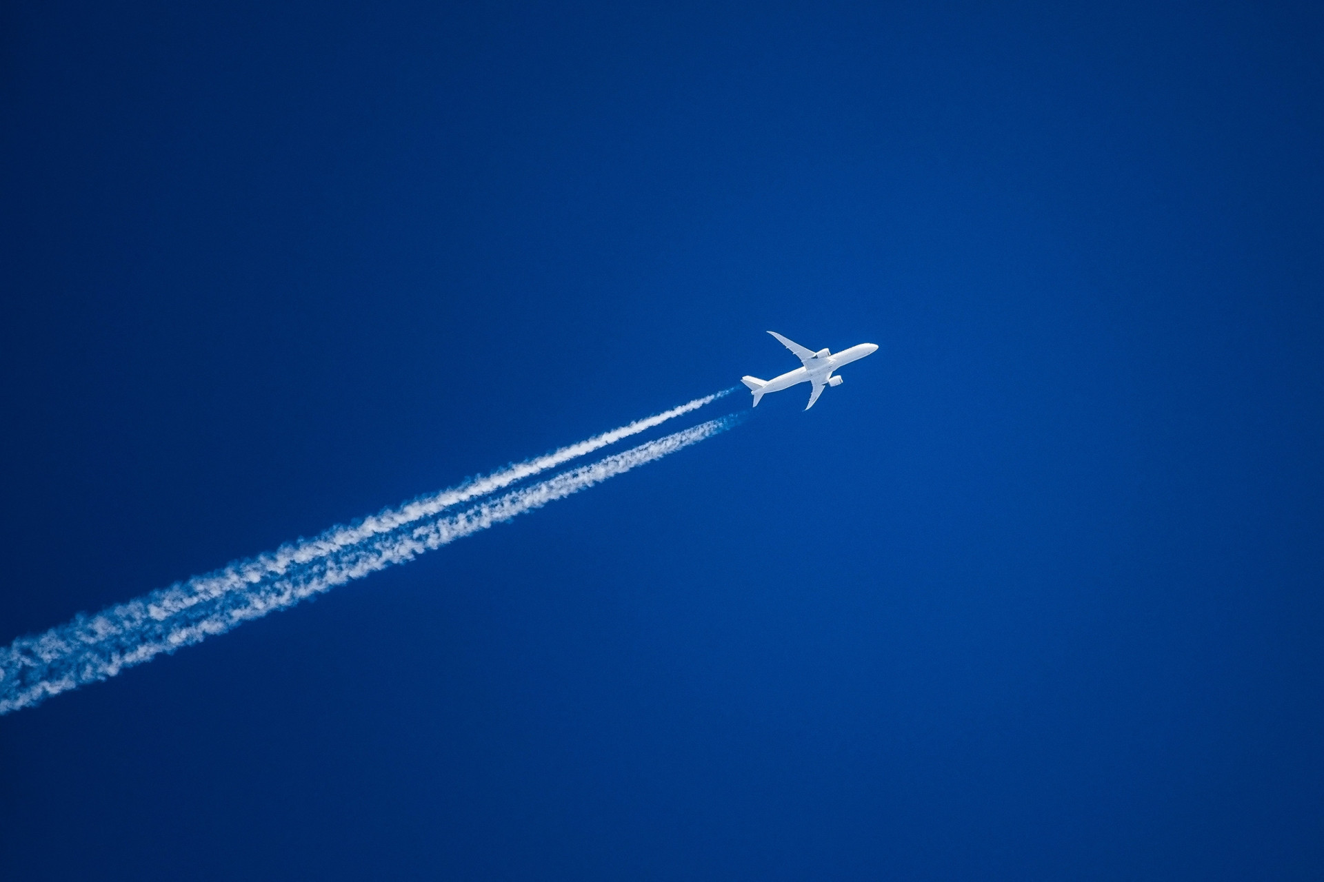 Interessante fakta om fly, som du temmelig sikkert ikke vidste