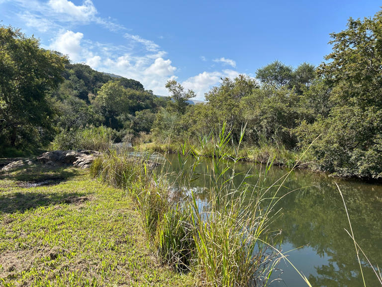 A weekend of trout fishing in leopard country is a reminder that SA ...