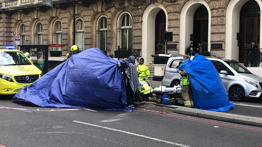 One hurt after runaway horses seen in central London<br><br>