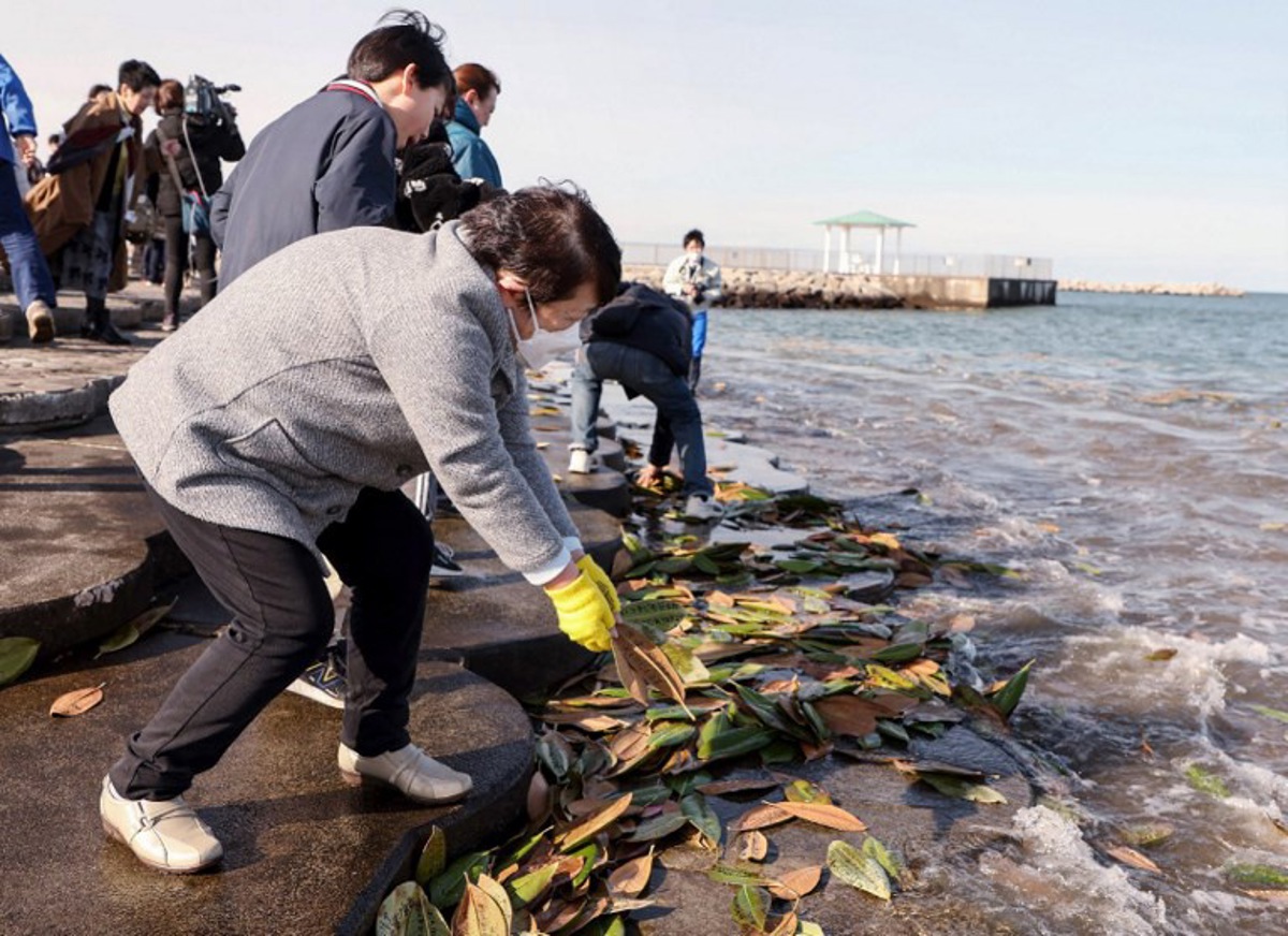 rejet en mer de l'eau de fukushima - japon: reprise du rejet en mer d'eau de fukushima après un incident électrique