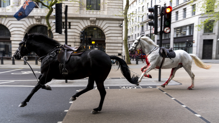 két elszabadult ló vágtatott végig london utcáin