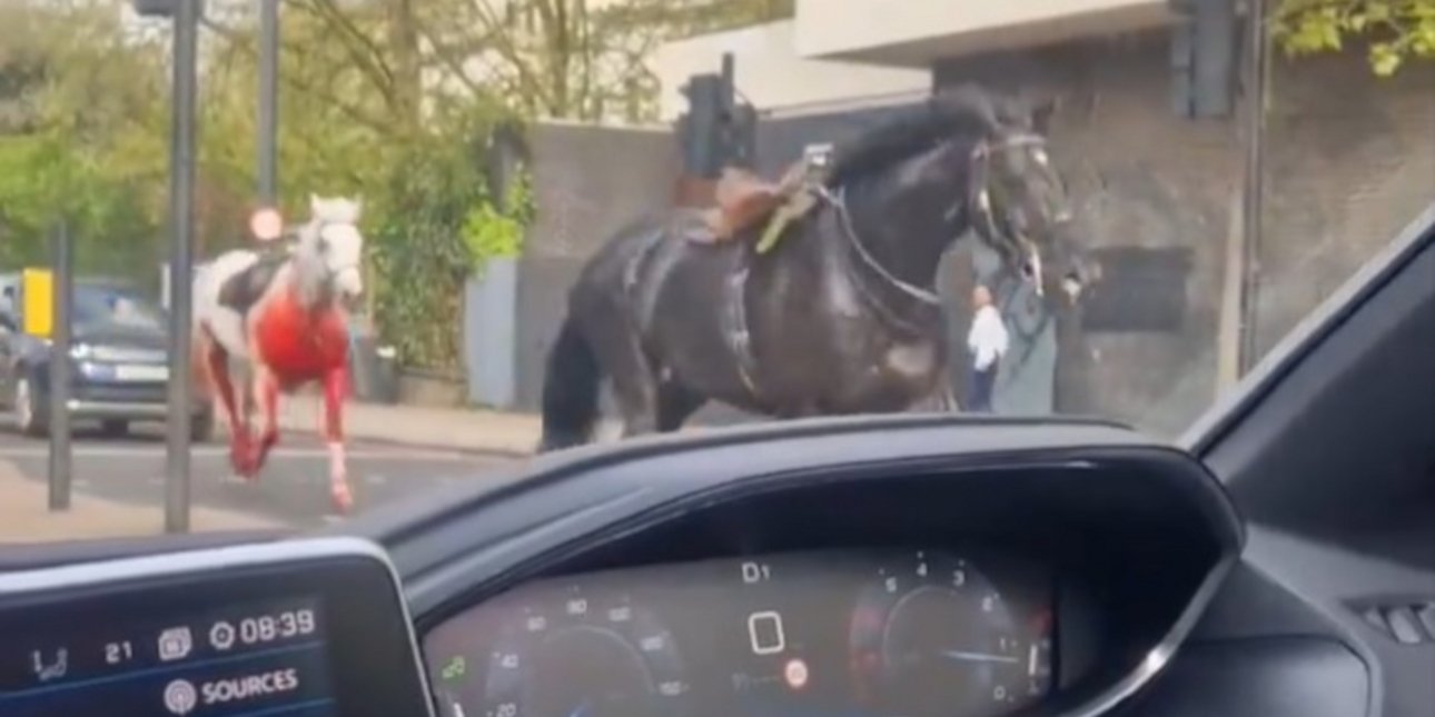 αναστάτωση στο λονδίνο: άλογα τρέχουν στους δρόμους -απίστευτες εικόνες