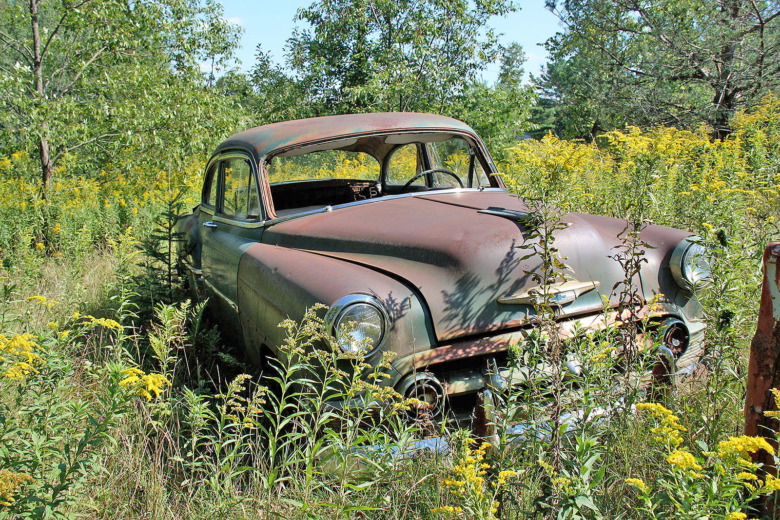 The Junkyard Gems of G&G Auto Salvage, Bruce, Wisconsin