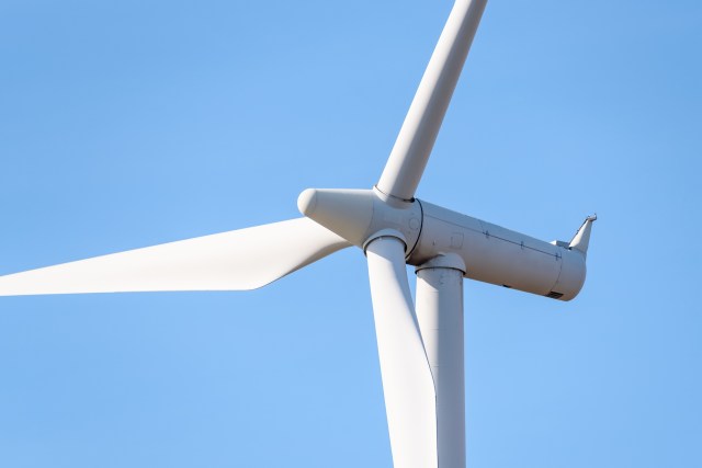 researchers design highly efficient wind turbine mimicking bird wings: 'this bio-inspired design can increase the power output'