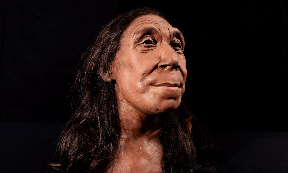 face of 75,000-year-old neanderthal woman revealed