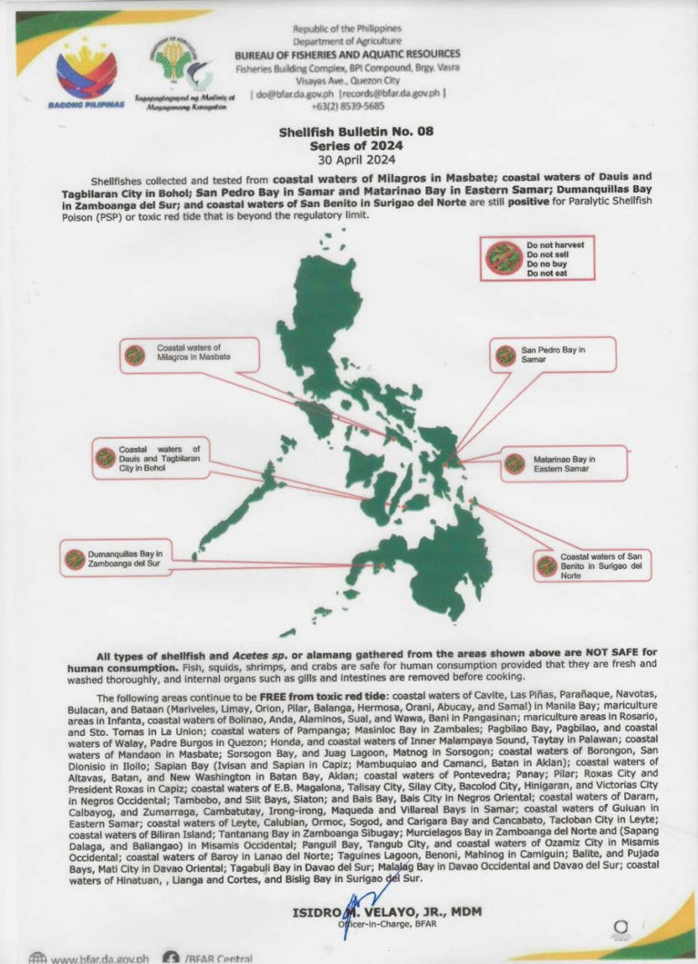 BFAR: Red tide alert still up in parts of Masbate, Visayas, Mindanao