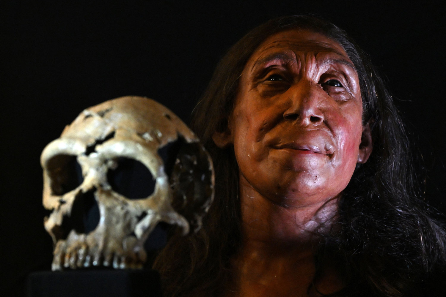 arkæologer genskaber 75.000 år gammel neandertalerkvindes ansigt