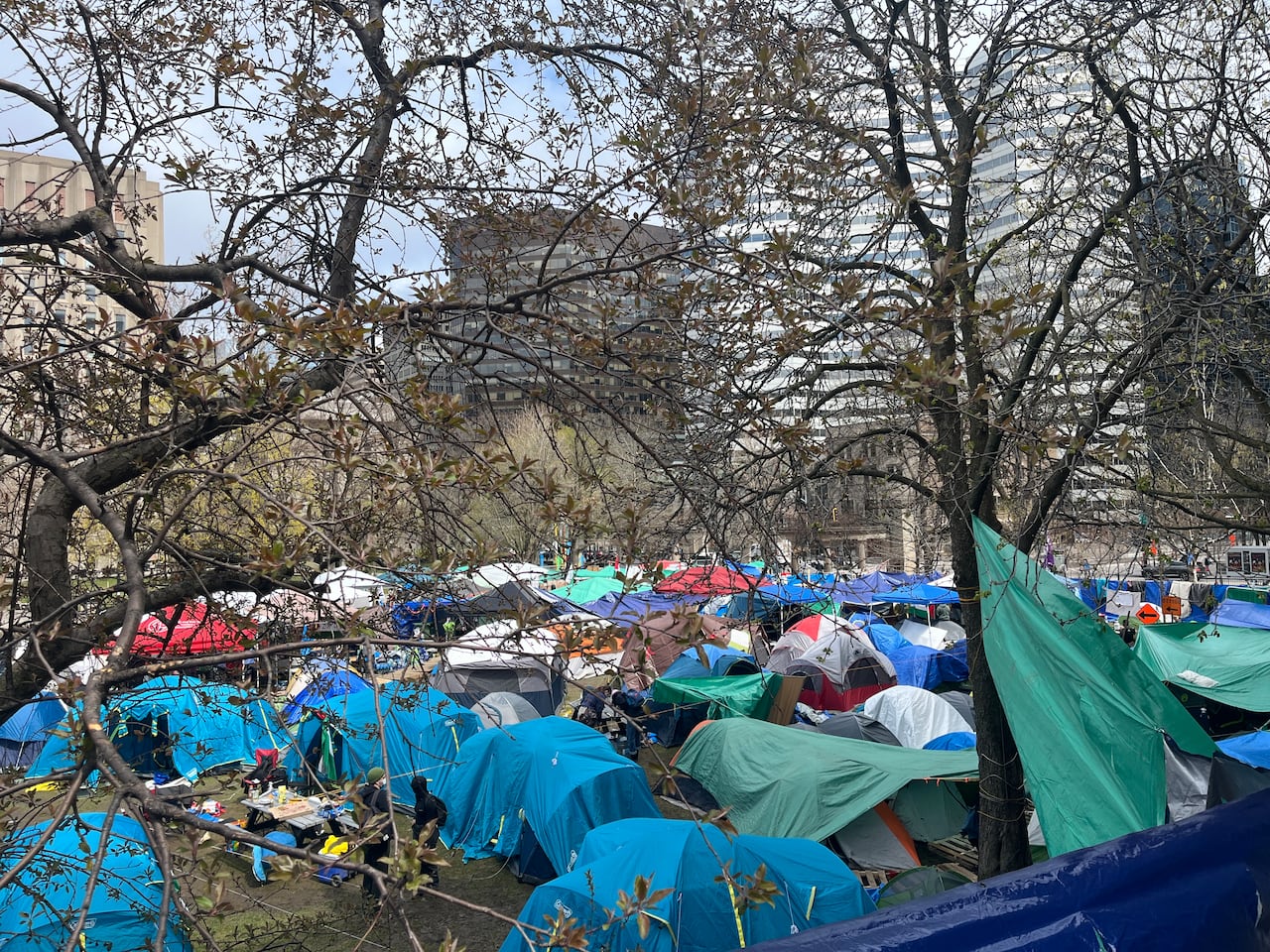 student protesters at mcgill encampment determined to stay after judge rejects injunction