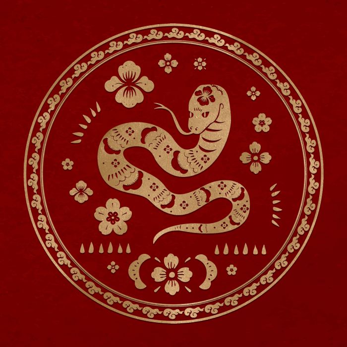 horóscopo chino: las predicciones para las personas del signo de la serpiente en el mes de mayo, según la astrología oriental