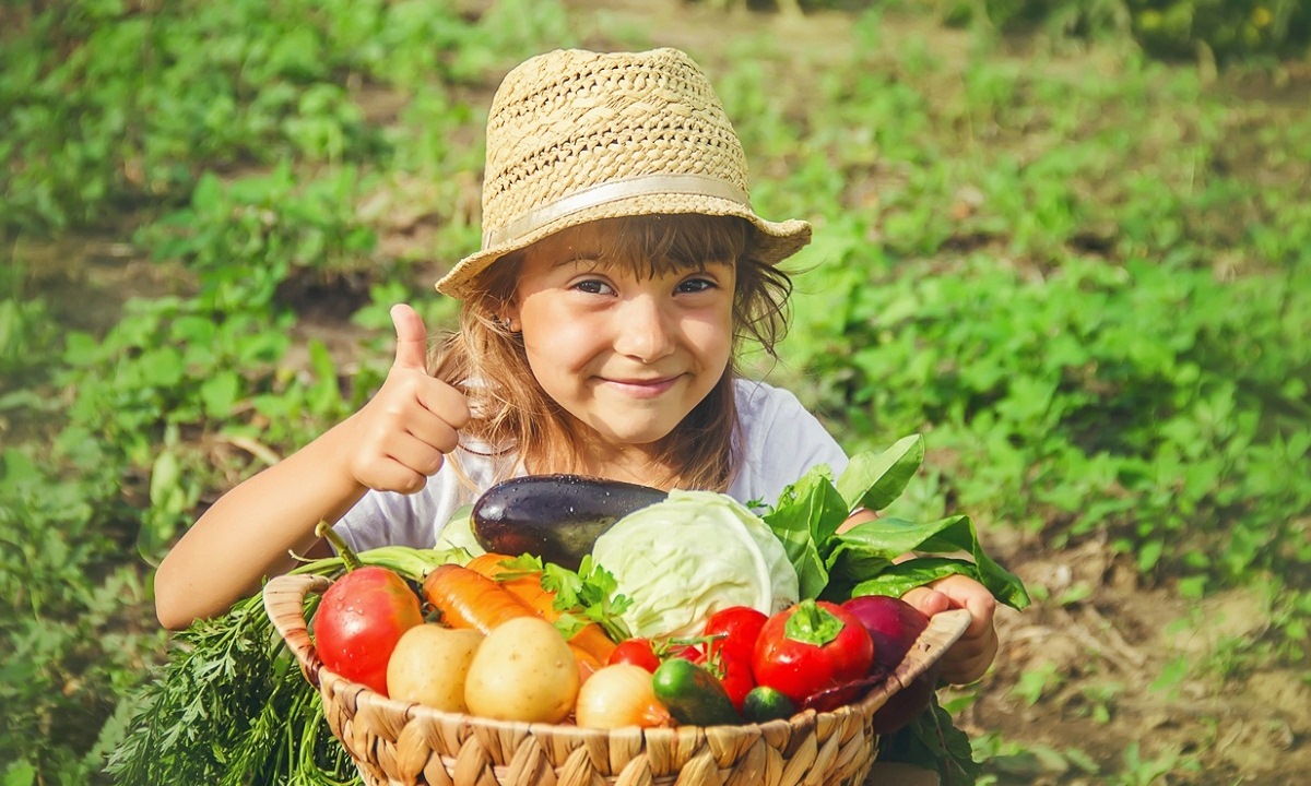 fruits et légumes imposables : attention, votre petit potager peut être taxé en 2024