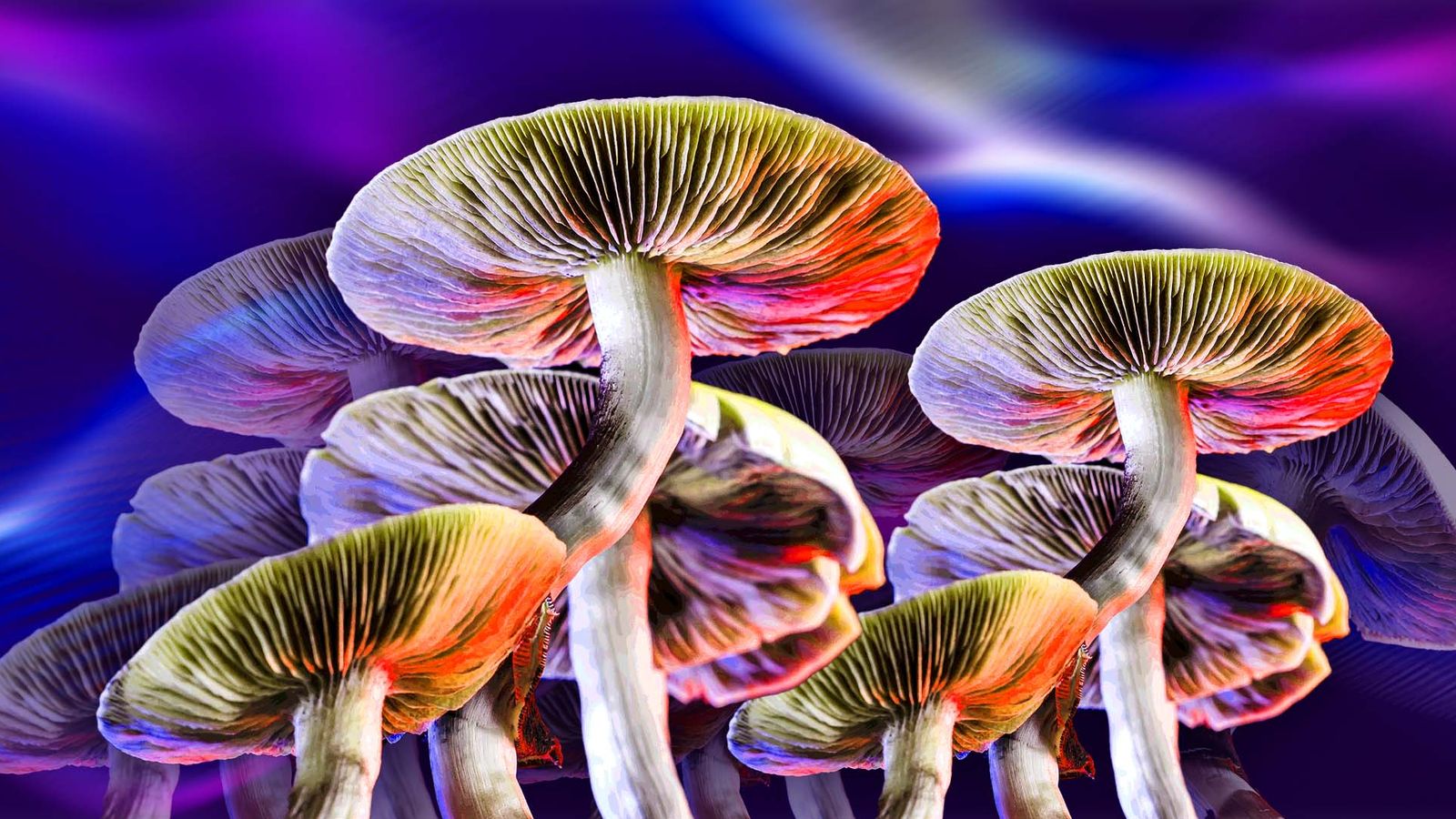 magic mushrooms effective for treating depression - study