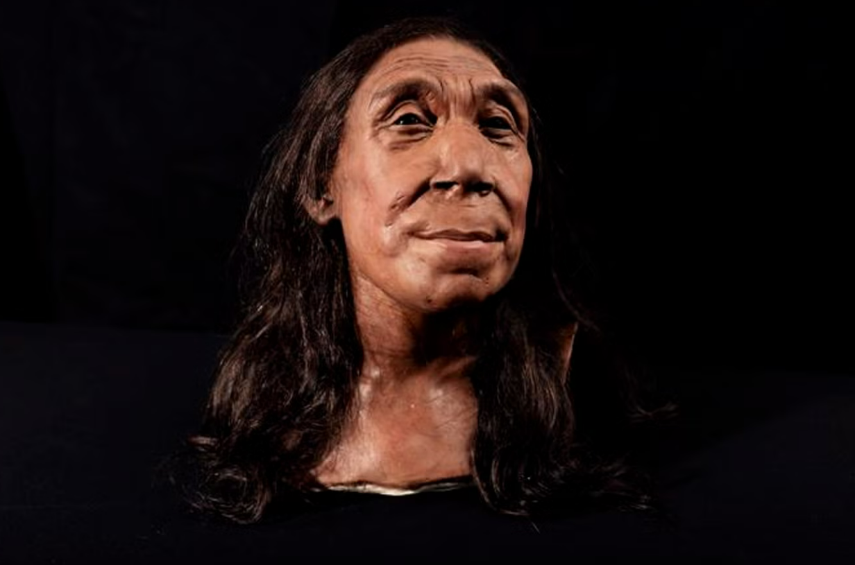 face of neanderthal woman reconstructed for the first time in 75,000 years