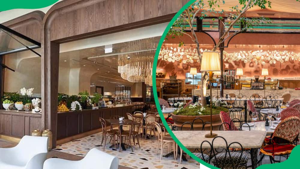 tashas menu and prices in south africa (updated for 2024)