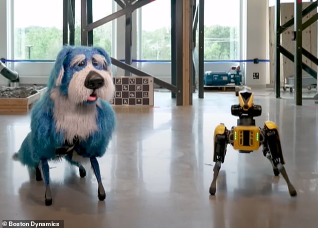 boston dynamics' robot dog, spot, dances while wearing sparkly costume