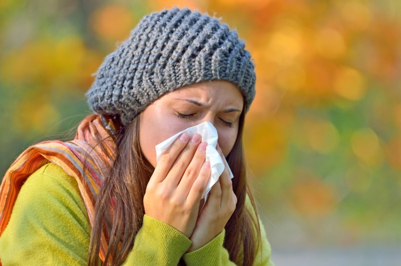 alergická rýma trápí v česku 2,5 milionu lidí, astma milion