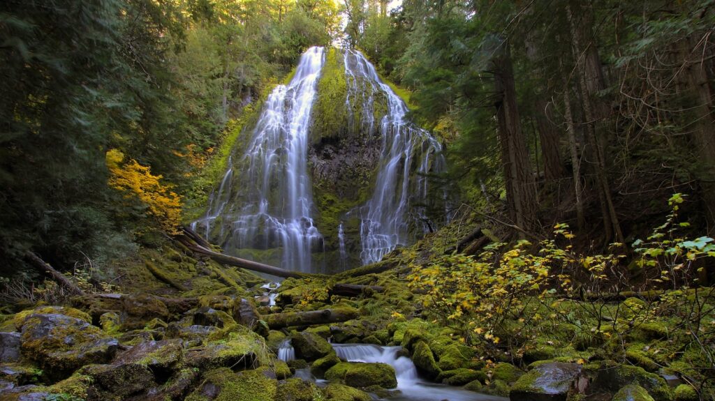 <p>Oregon is famous for many things, but it may be <a href="https://roamthenorthwest.com/12-oregon-waterfalls-that-will-make-you-feel-like-youre-in-a-fairytale/">waterfalls</a> that top most tourists’ lists when making their way to this part of the country. From the massively popular Multnomah Falls, which sees over 2 million visitors per year, to remote waterfalls that are only seen by hikers willing to make the sometimes double-digit mile trek on foot, there are hundreds of waterfalls across the state to visit.</p><p>The two most popular waterfall viewing areas are the Columbia River Gorge, where a new waterfall awaits around every turn along the highway, and Silver Falls State Park, which is home to the popular Trail of Ten Falls.</p>