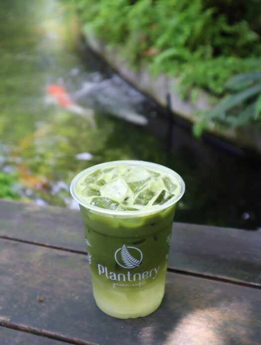 plantnery green café ปากเกร็ด ร้านกาแฟสุดร่มรื่น สัมผัสธรรมชาติสไตล์สวนป่า