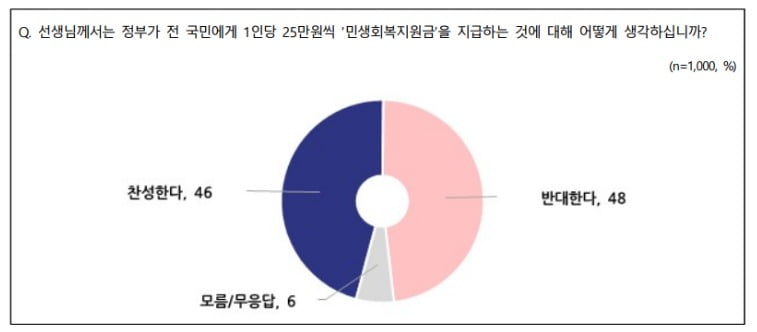尹 지지율 2주 연속 27%…'25만원 지원금' 반대 48% [nbs]