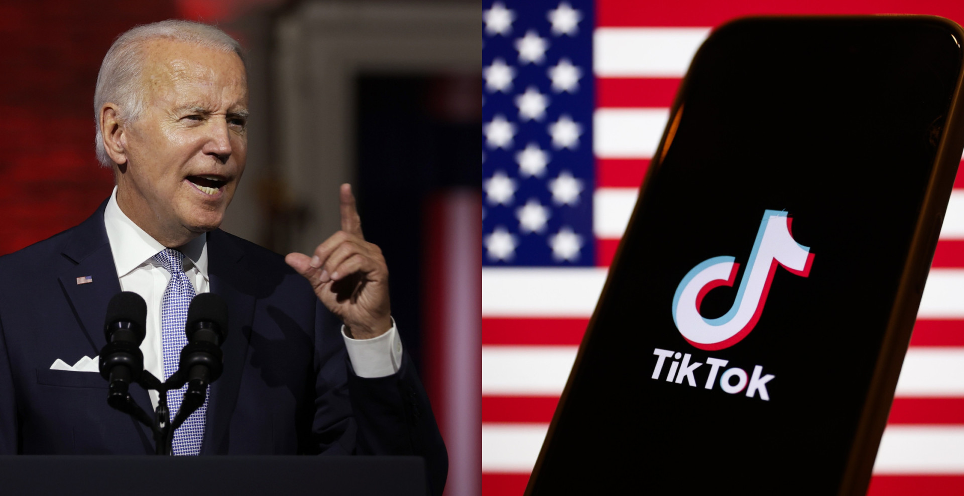 Which Countries Have Banned TikTok?