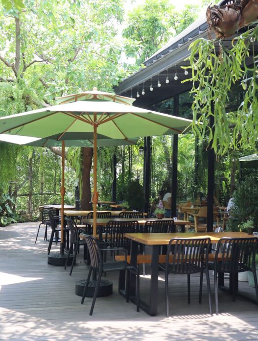 plantnery green café ปากเกร็ด ร้านกาแฟสุดร่มรื่น สัมผัสธรรมชาติสไตล์สวนป่า
