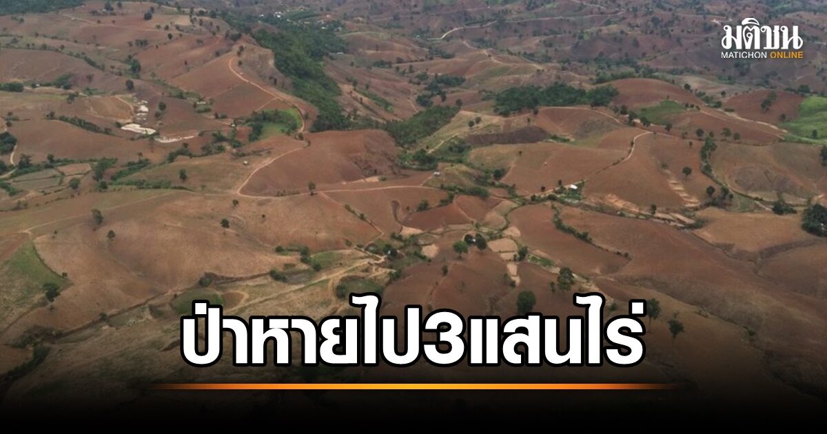 ป่าไม้ไทยลดมากที่สุดในรอบ10ปี หายไป3แสนไร่ เหตุเปลี่ยนเป็นพื้นที่เกษตร-ไฟป่า