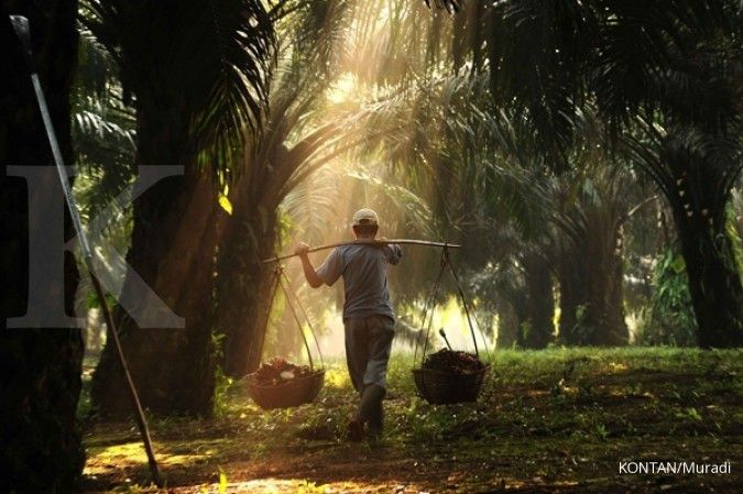 Lirik Rekomendasi Saham CPO di Tengah Tantangan Akhir 2025