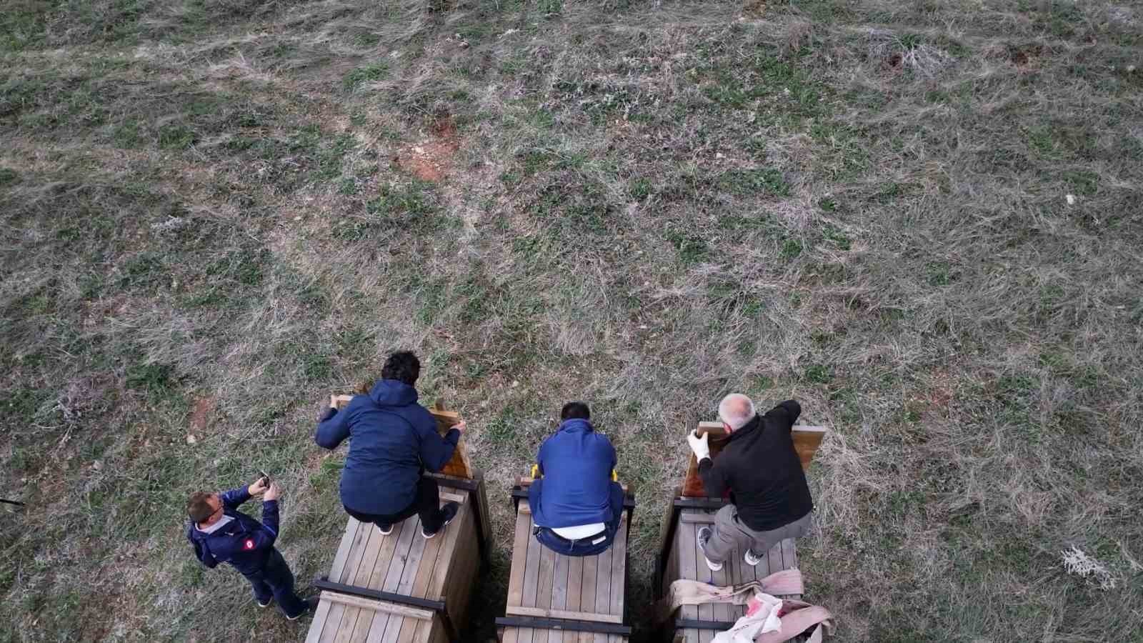 gümüşhane dağlarına 3 kızıl geyik daha salındı
