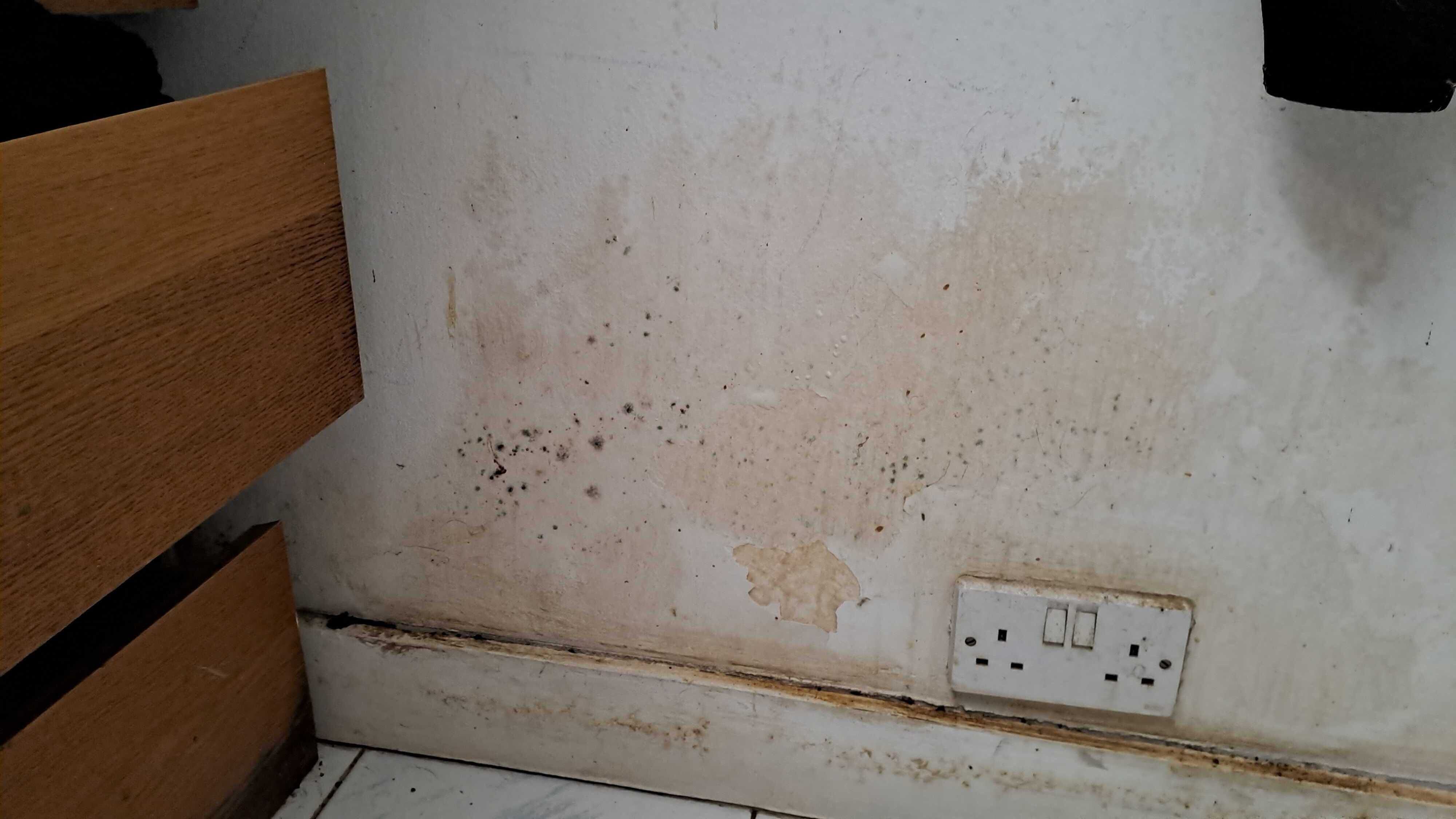 how to, how to deal with mould in your home following rainy weather