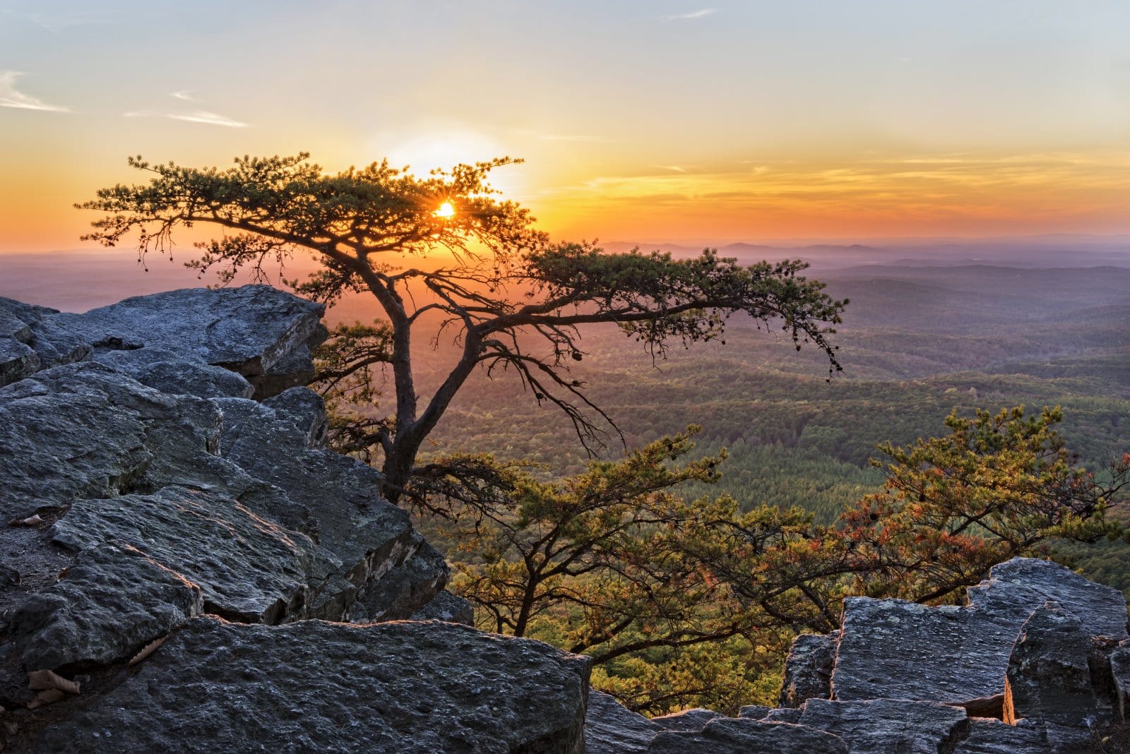 <p class="wp-caption-text">Image Credit: Shutterstock / Jim Vallee</p>  <p><span>Cheaha Mountain is the highest point in Alabama. You can see clear across the Talladega National Forest from up there. It’s like sittin’ on top of the world.</span></p>
