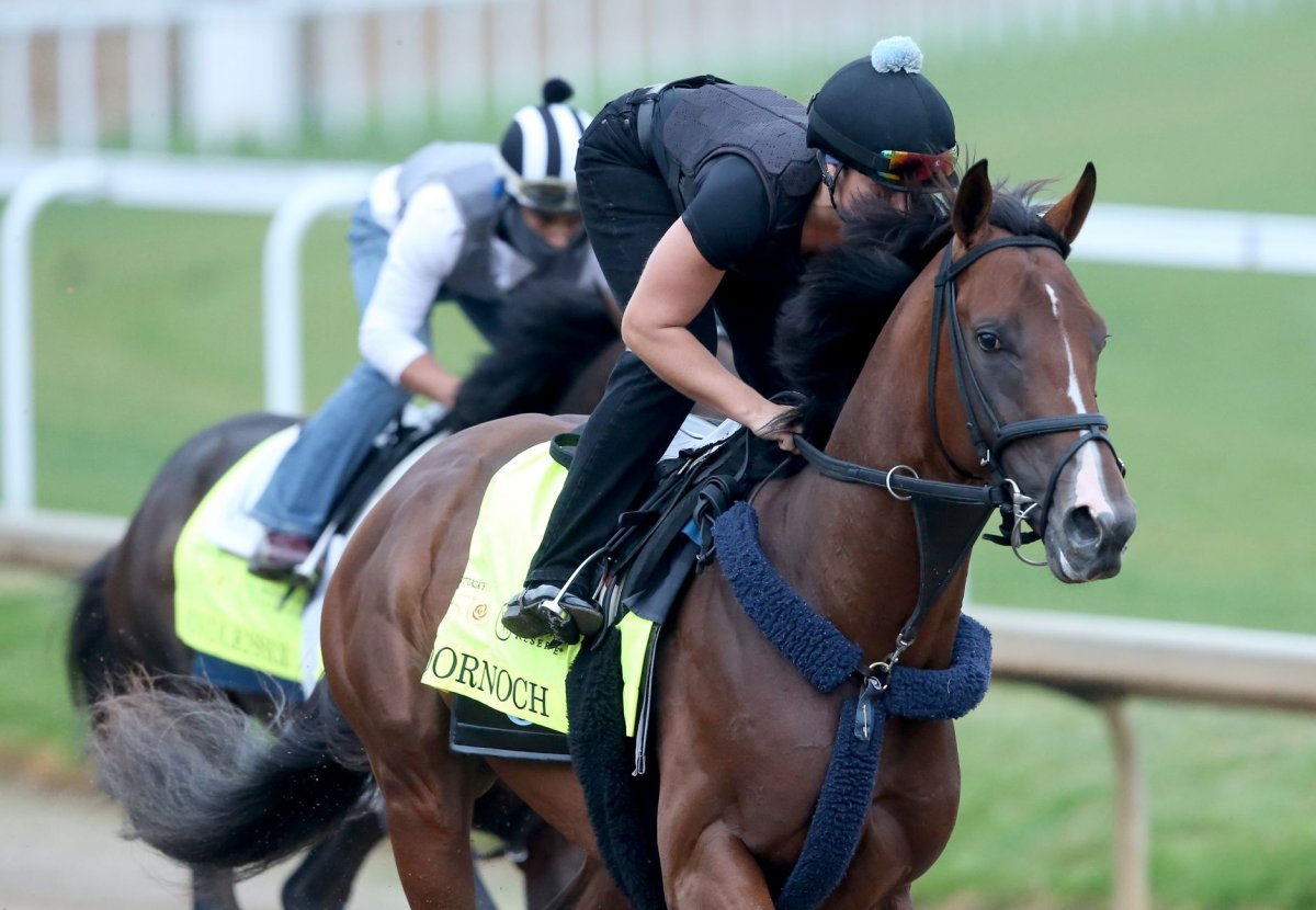 Meet The 20 Horses Racing In Saturday's Kentucky Derby