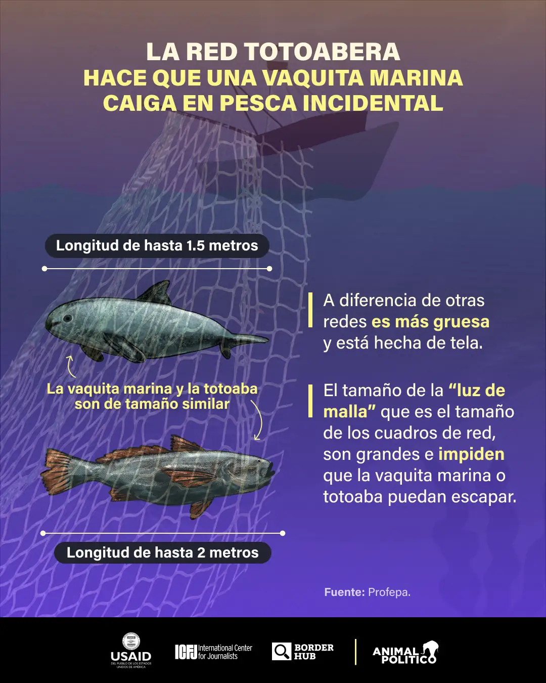 redes de pesca abandonadas en el mar carecen de manejo especial; profepa dice que son almacenadas y trituradas por semar