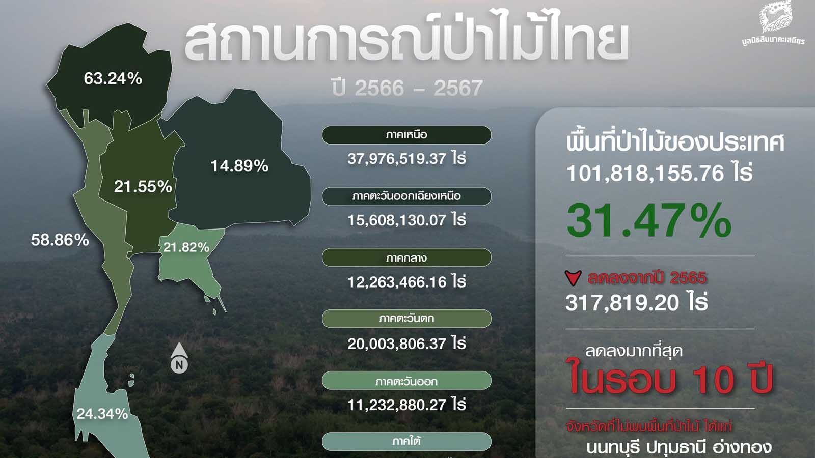 เปิดข้อมูล 'ป่าไม้ไทย' หายไป 317,819 ไร่ ลดมากที่สุดในรอบ 10 ปี