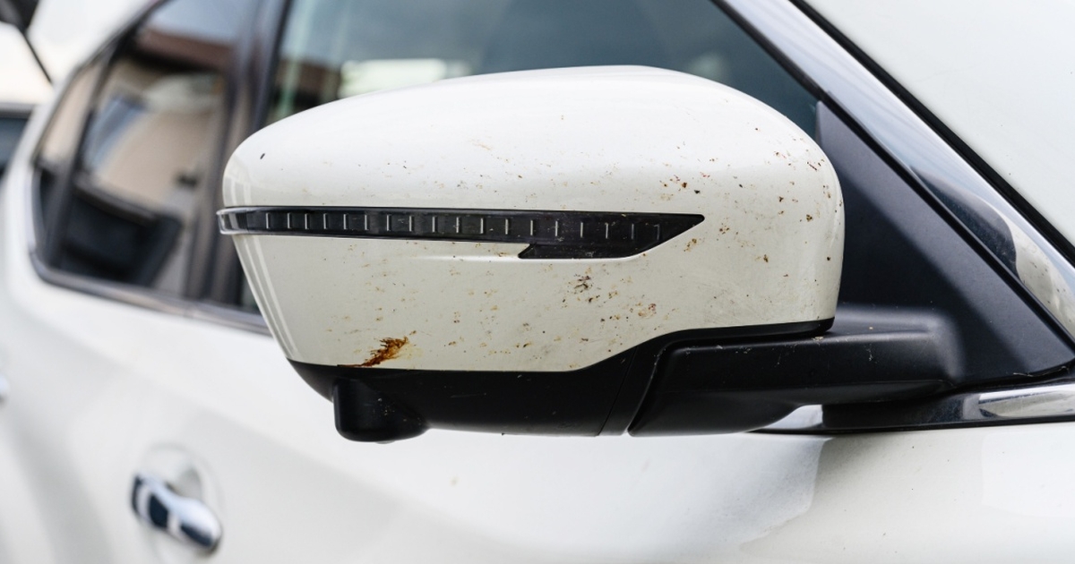 mange har lagt mærke til det: derfor er der færre døde insekter på din bil