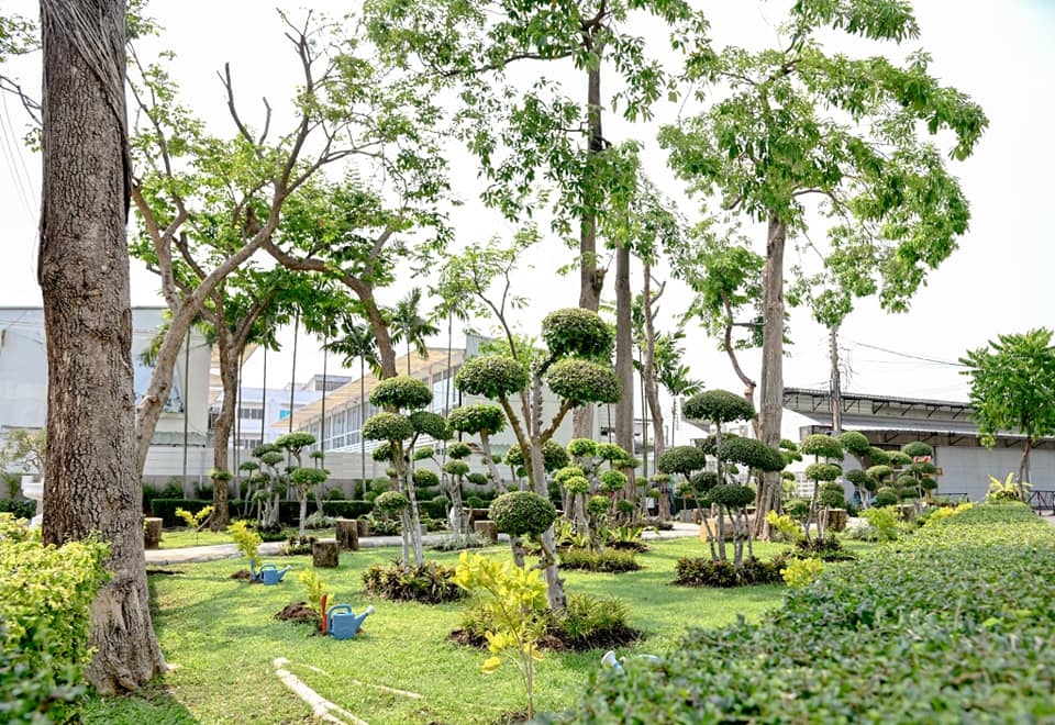 เปิดสวนขนาดเล็กแห่งที่100 เดินหน้าสร้างกรุงเทพฯเมืองสีเขียว