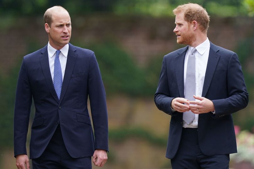 prince harry and william 'haven't had a real conversation in months' despite reunion hopes