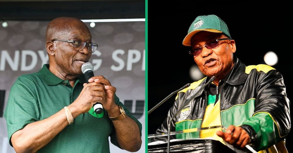 jacob zuma's dilemma: anc hauls former leader before its national disciplinary committee